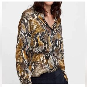 Zara Snake Print Button-Down Shirt in Brown, Black, Gold Oversided
